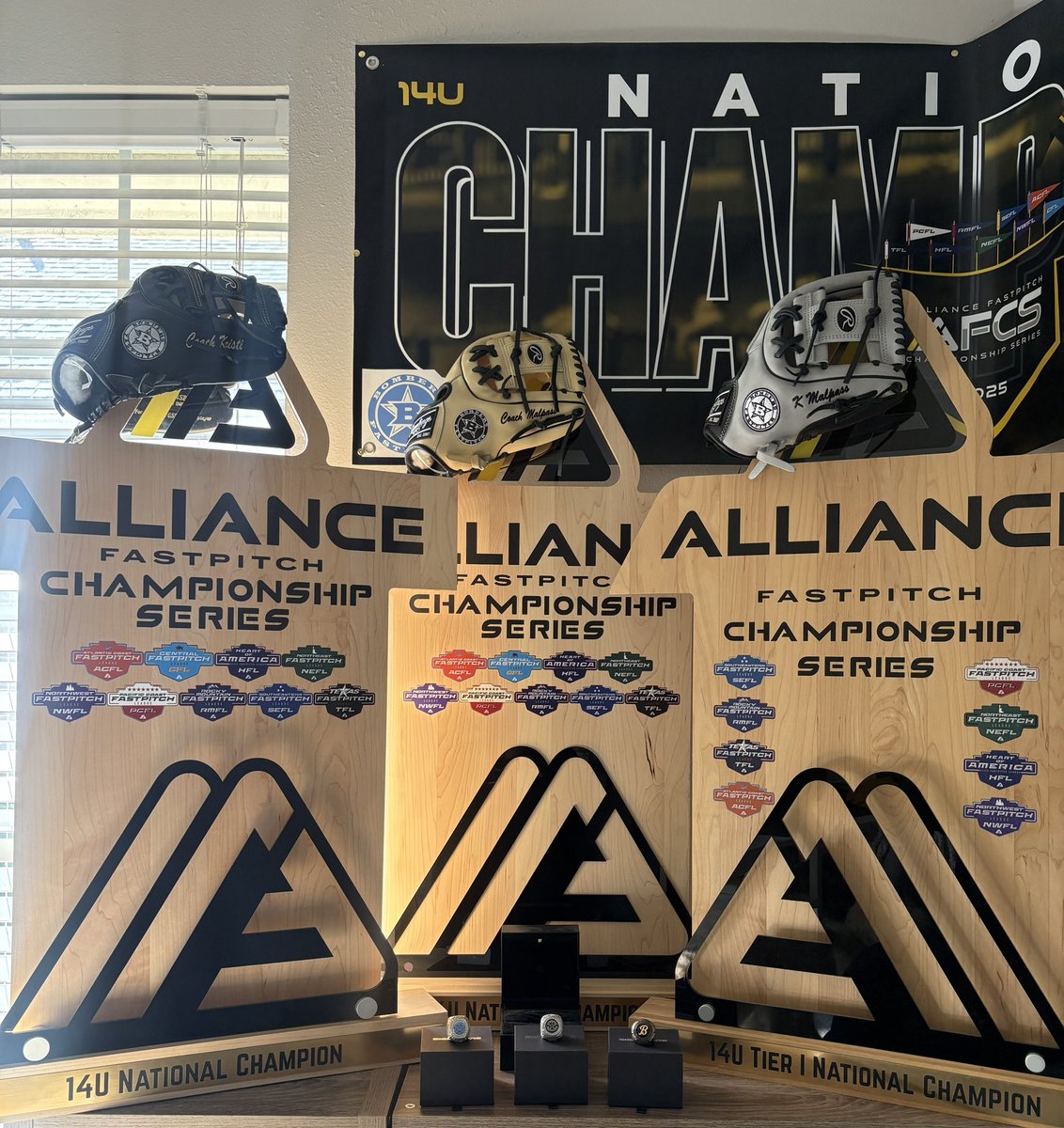 Behind every trophy is adversity.
Bumps. Emotions. Sweat. Tears. Hard work. Growth. Learning moments. Preparation. Teamwork. Pressure.

The standard will not change — but understand this:
Failure grows you just as much as success.

The difference?
Champions don’t run from either