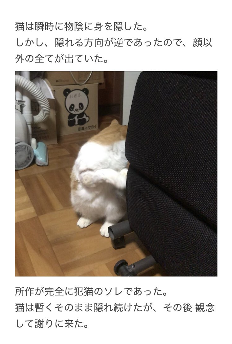 やーこ (@yalalalalalala) / Posts / X