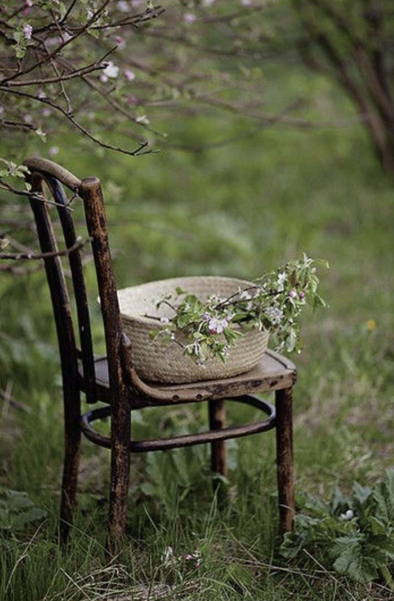 Rana Farah💎👑 tweet media