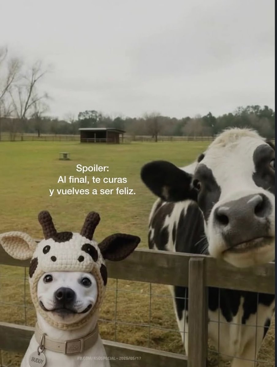 Espiritu iluminado (@espirituilum) on Twitter photo 