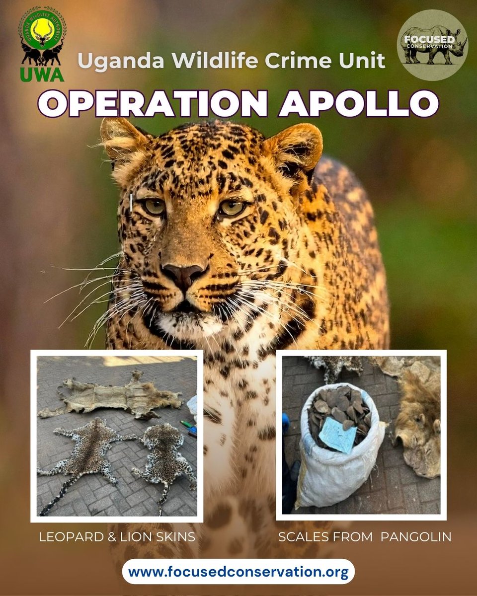 Focused Conservation tweet media