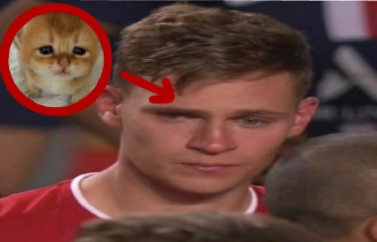 Y yo lo vengo haciendo gratis toda mi vida