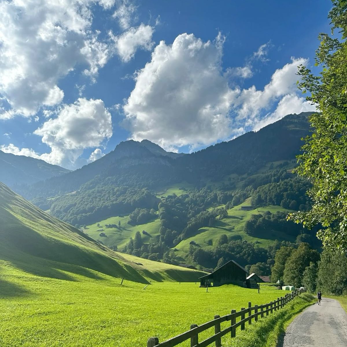 JEXY🥷 tweet media