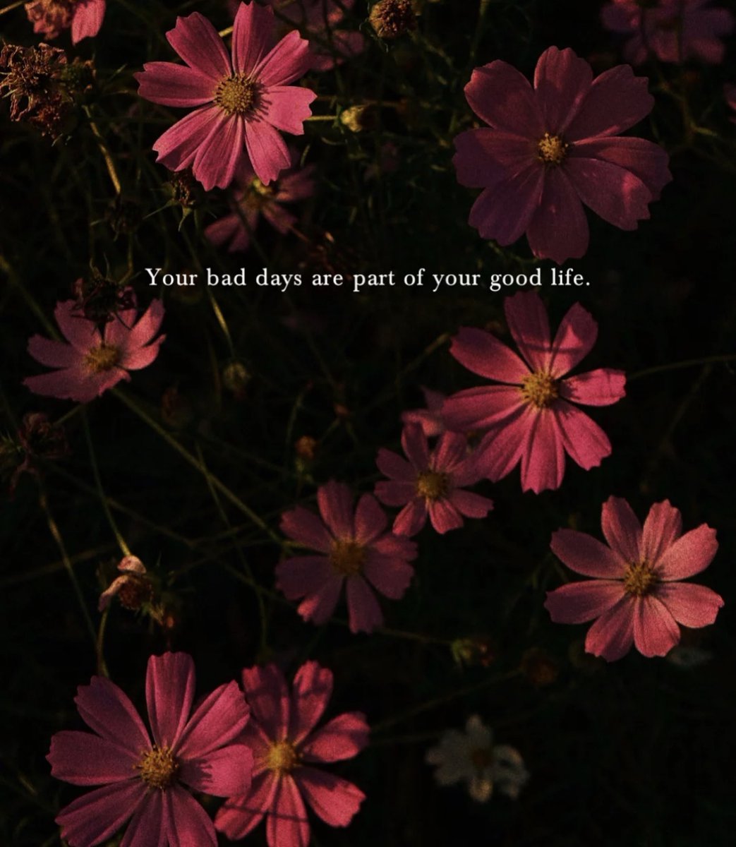 Earth (@earthcurated) on Twitter photo 