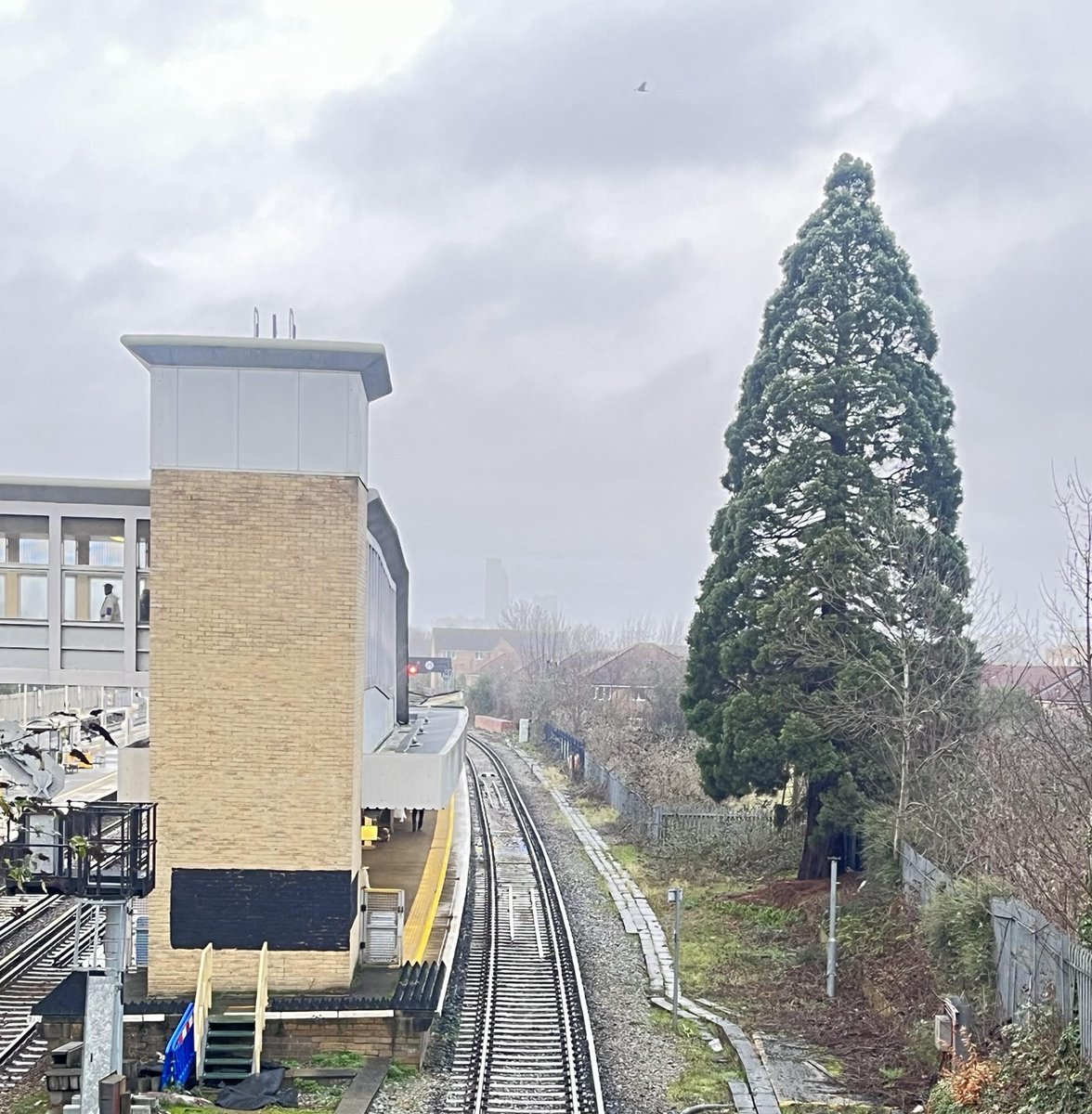 Transpontine tweet media