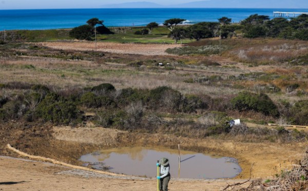 San Francisco Public Golf Alliance tweet media