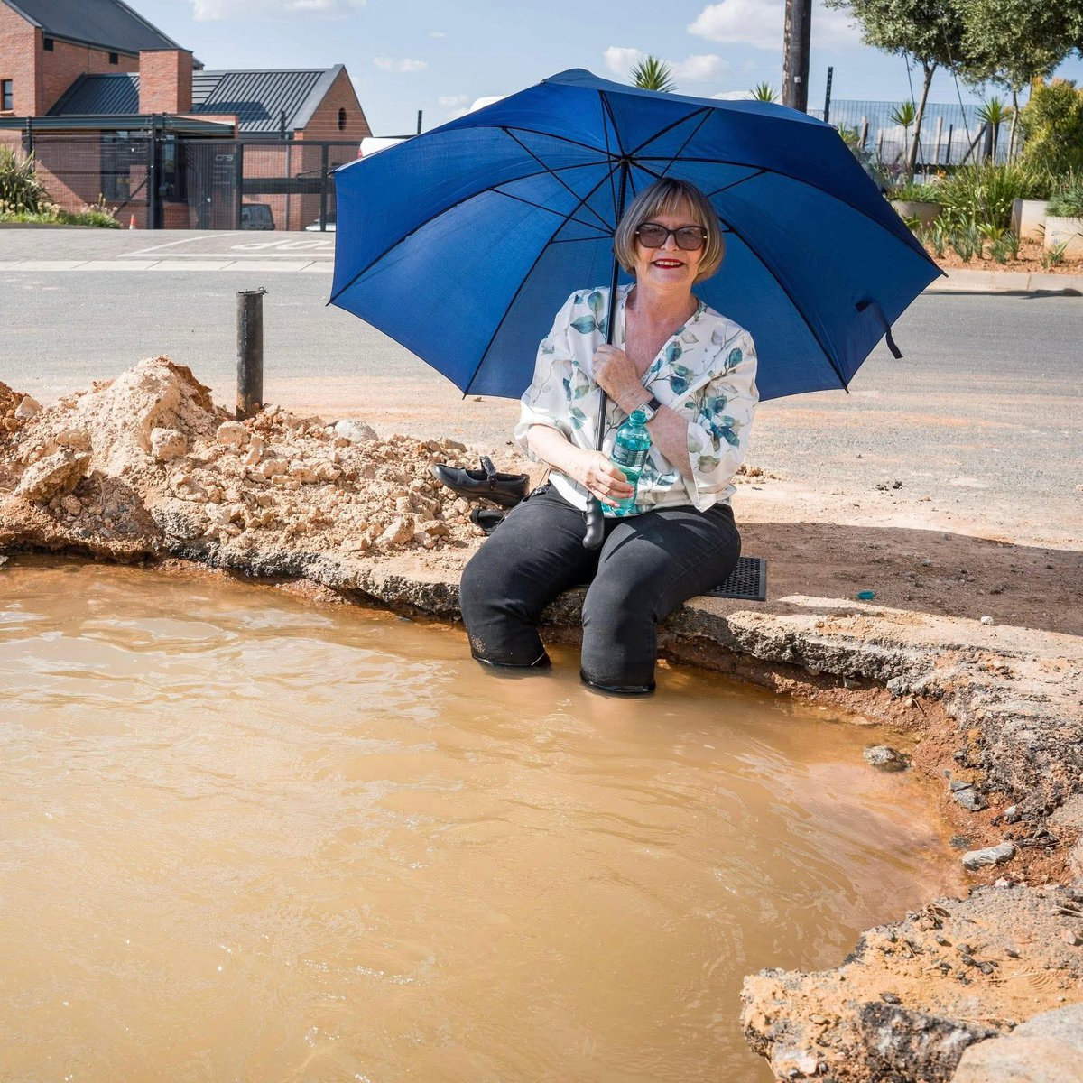 Will You Vote for Helen Zille as Johannesburg Mayor in 2026?

Retweet for YES
Like for NO