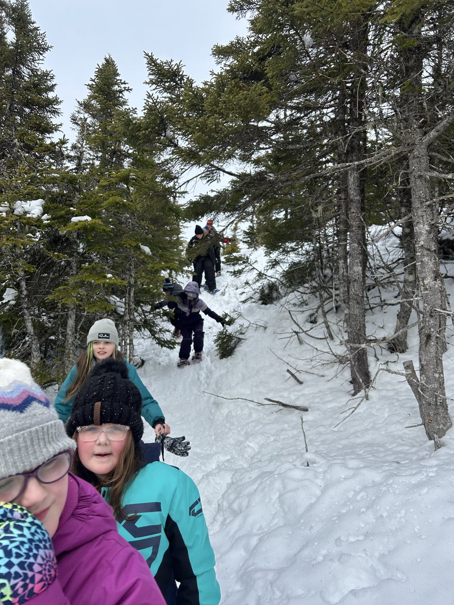 mspenneysclass's tweet photo. Some students at @bishopwhiteNL enjoying some snowshoeing this week for #dartoutdoors @schoolsportsnl @NatelleTulk https://t.co/COBxbCXqx0