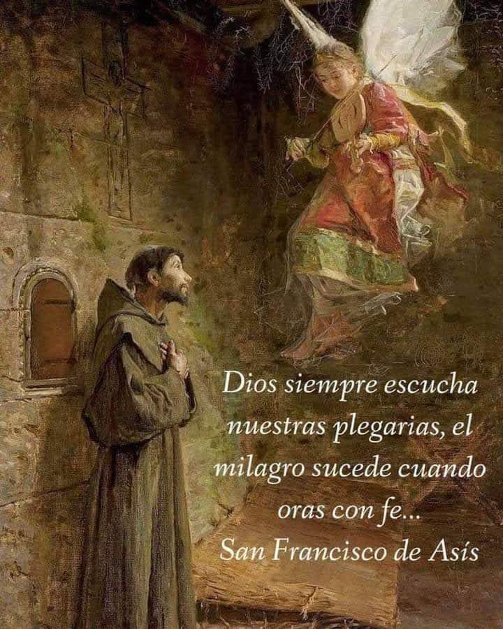 San Francisco de Asis (@frasescatolic00) on Twitter photo 