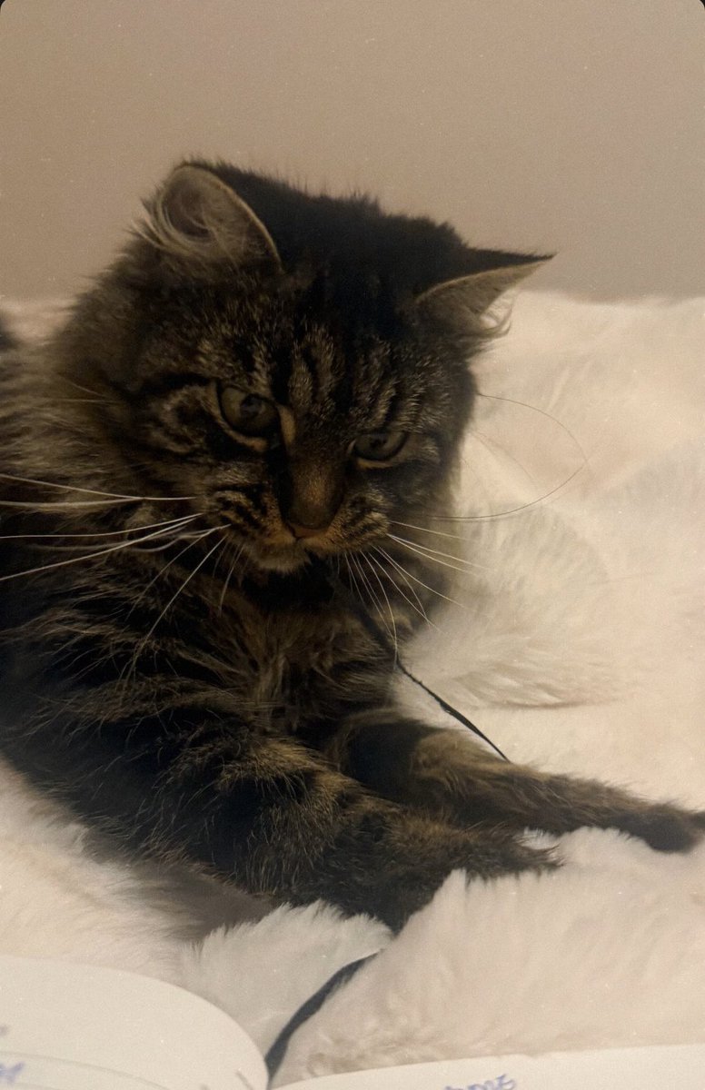 La mia bimba stasera è più bella del solito 🤍 #lamicia