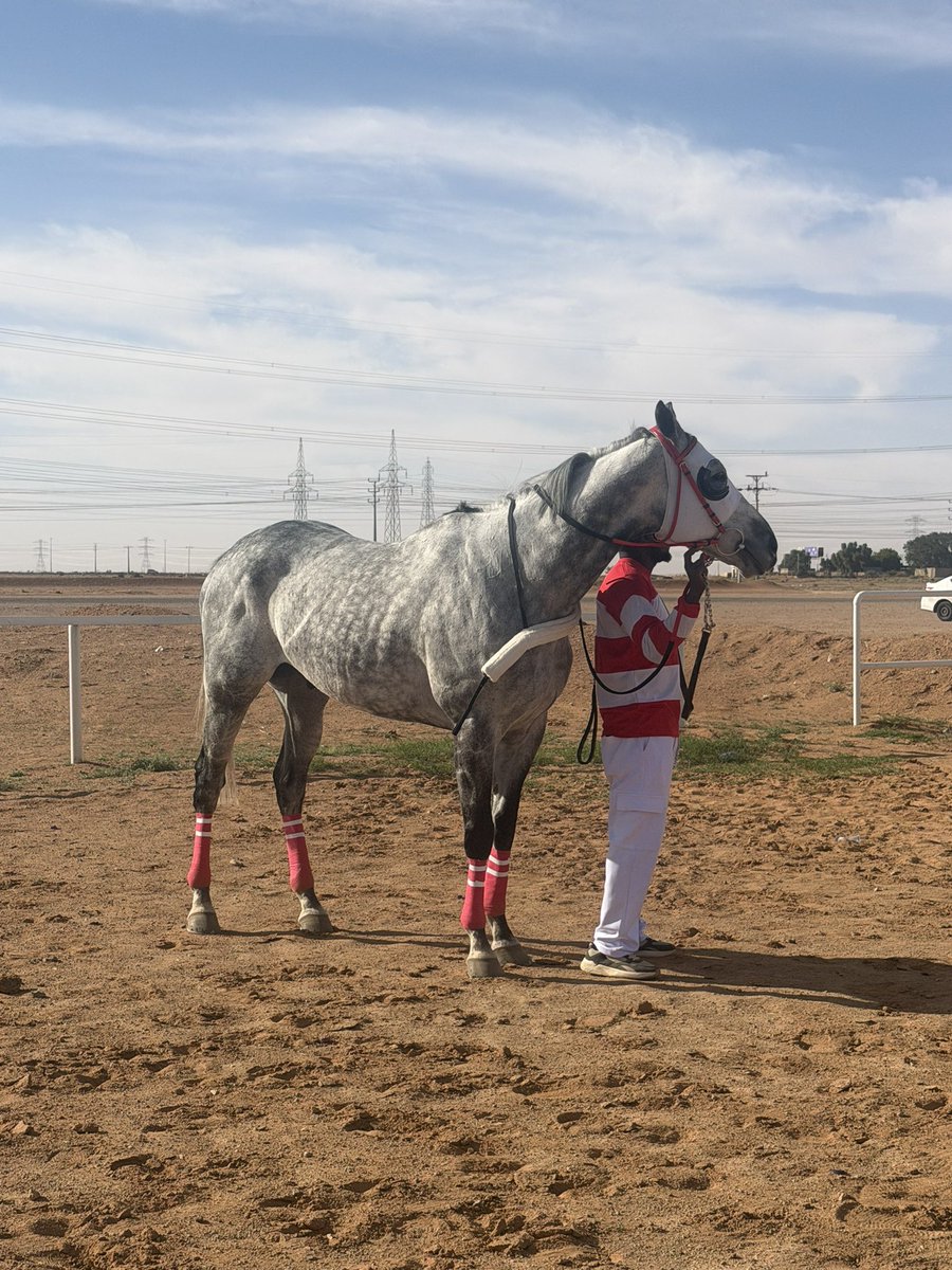 عبدالرحمن الشلاقي tweet media