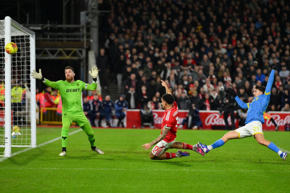 Talking Forest tweet media