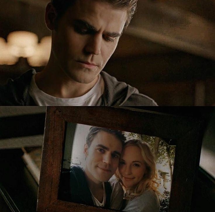 Stefan Salvatore {RP/Fake} tweet media