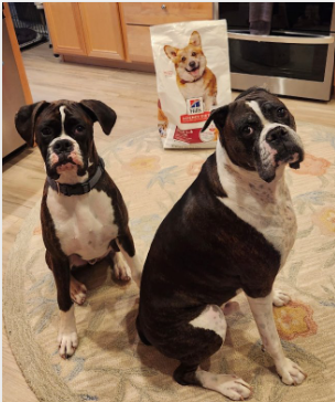 BSandSprinklr tweet media