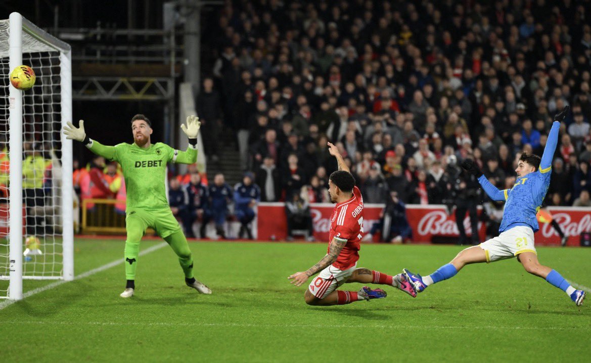 𝐓𝐇𝐄 𝐖𝐎𝐋𝐅𝐏𝐀𝐂𝐊™️ tweet media