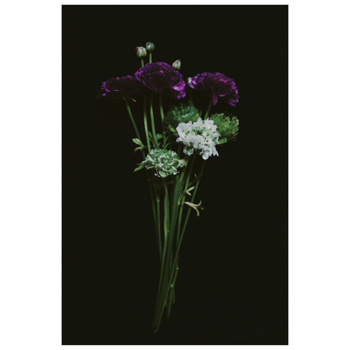 夜脈カセツ (@yosuji_) on Twitter photo 