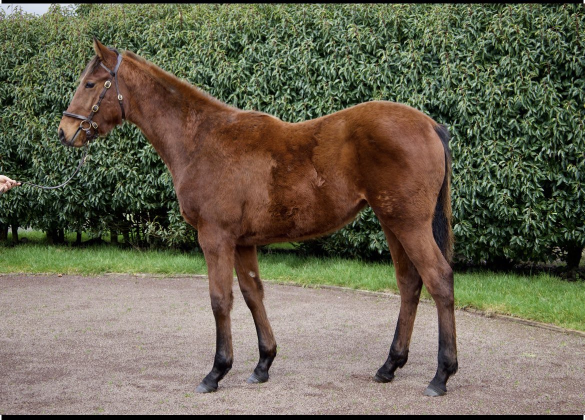 Seán Freney tweet media