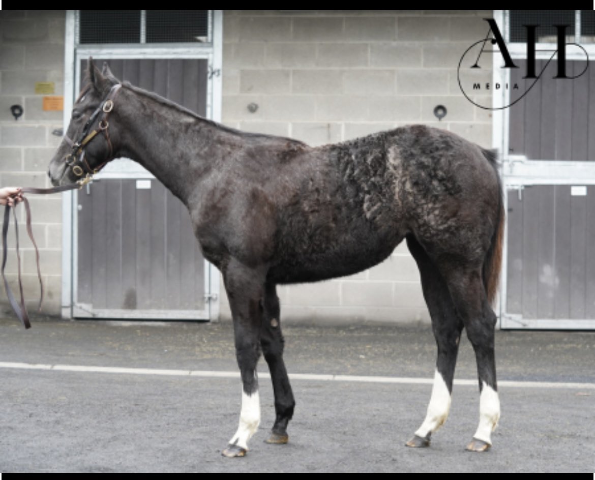 Seán Freney tweet media