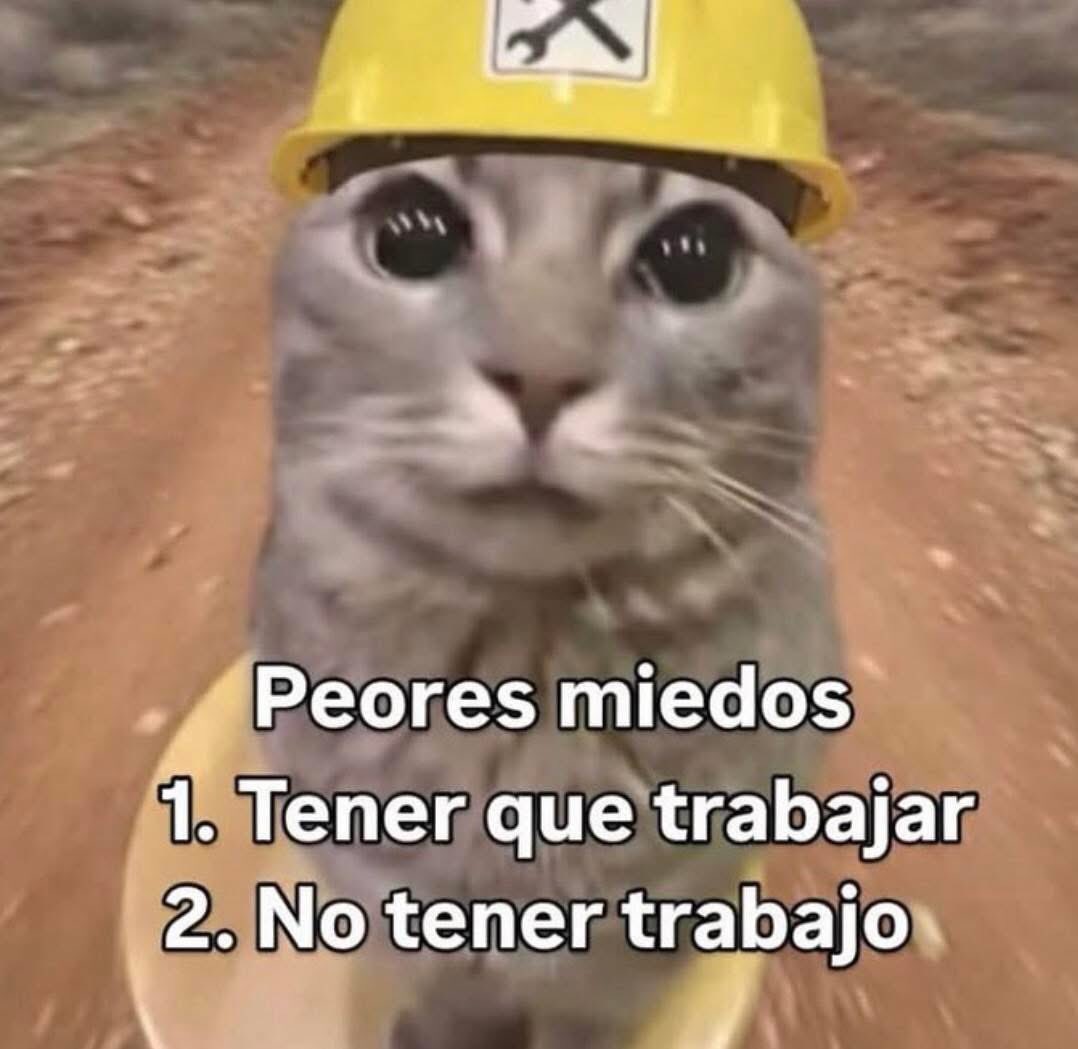 cxrrly's tweet image. 