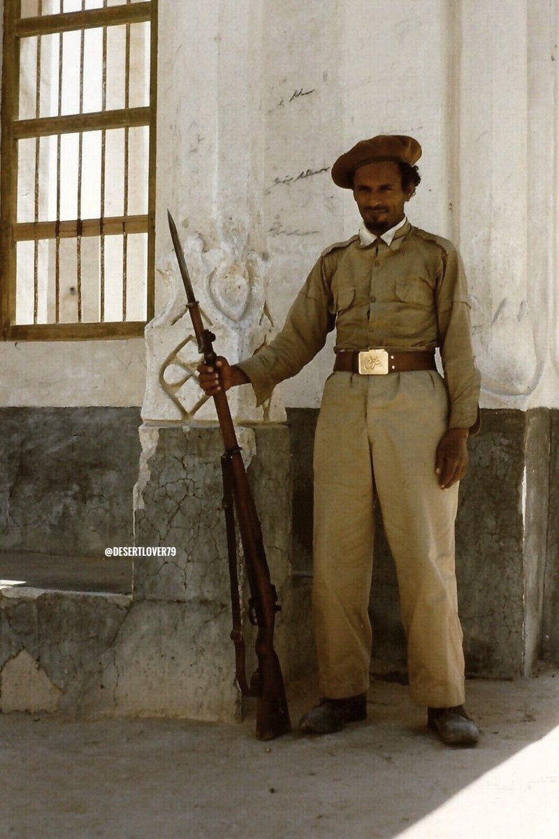 محمد ناصر الخليفة tweet media