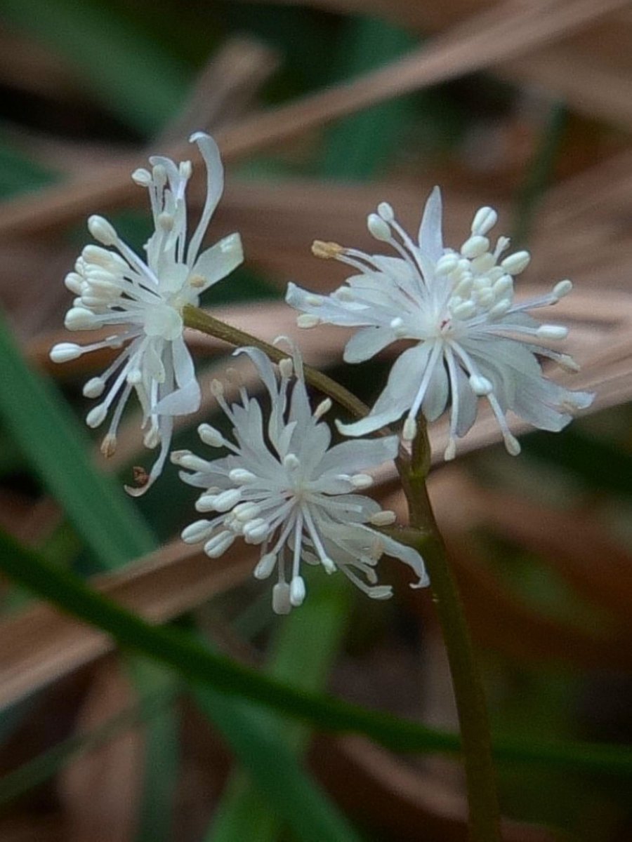 Post by スターフィールド on X: 😉😉🤗