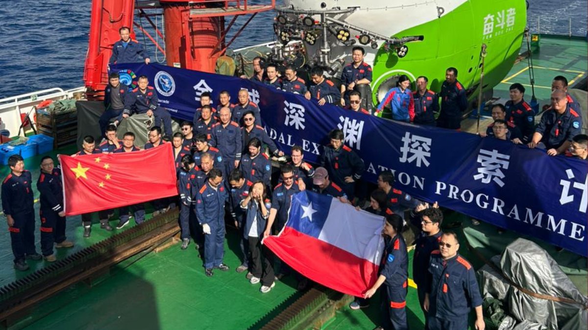 Cooperativa tweet media