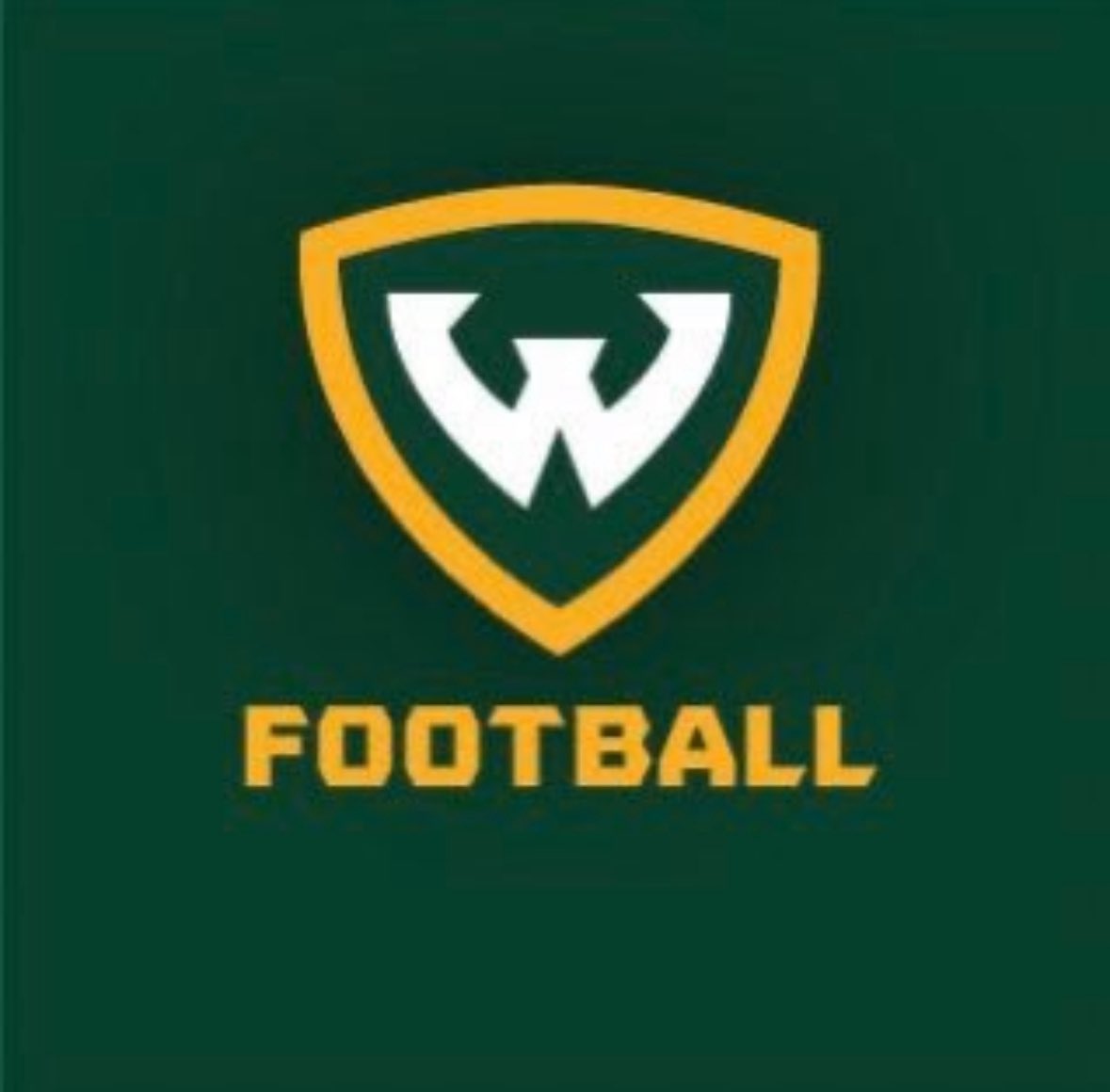 Alhussein Alkademe tweet media