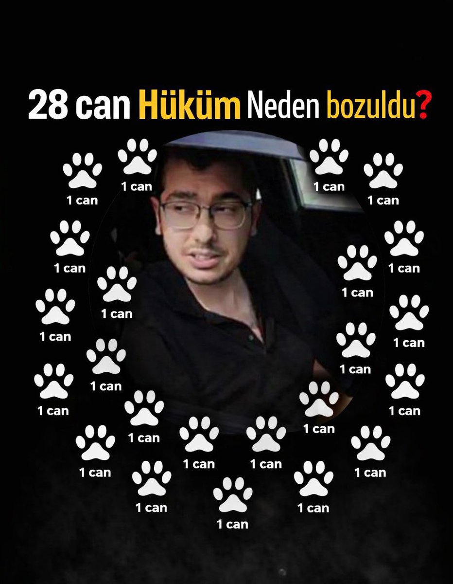 İnci 💖panter&dolin&lina tweet media