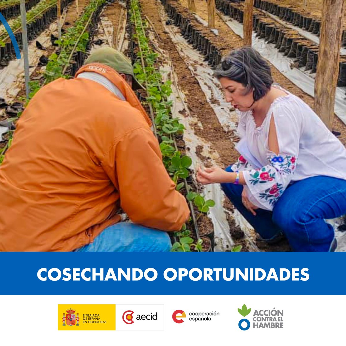 Acción contra el Hambre Centroamérica tweet media