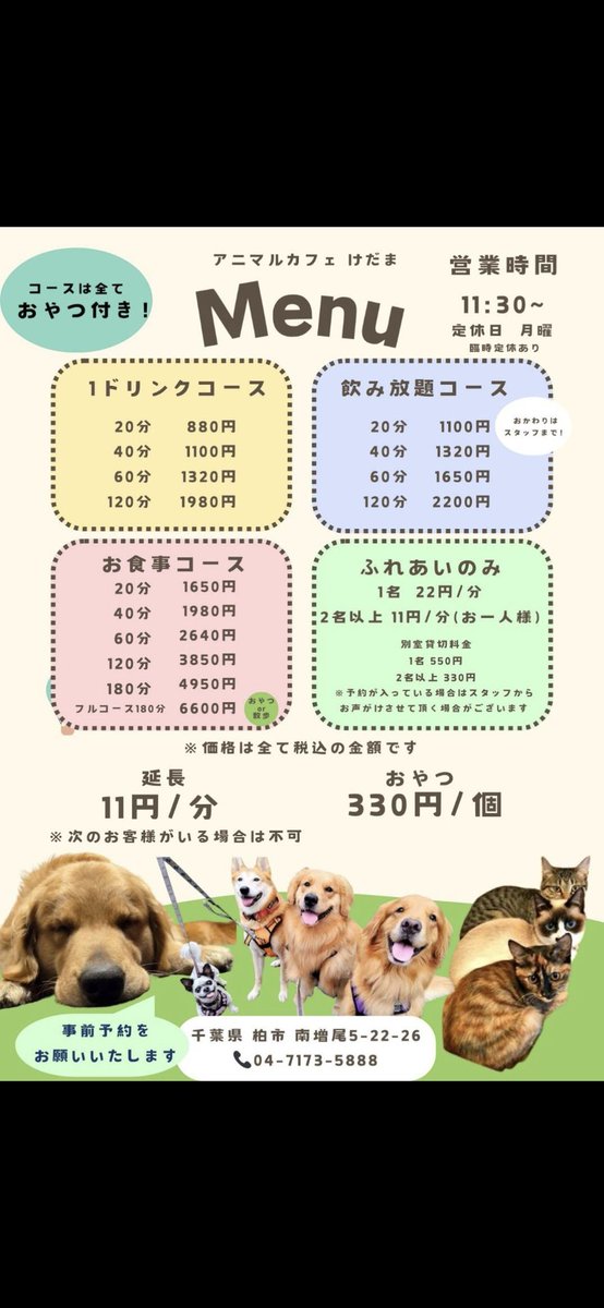 おはようございます
本日2/12木曜日
ふれあい空き状況
🐶🐱🐶🐱🐶🐱🐶
11時30分～12時30分
14時15分～15時
空いています。
予約は0471735888まで
一番元気な時間帯のオープンがオススメです
只今バレンタインイベント開催中の為
イベント限定
ビーフシチューが食べれてチョコパフェも食べれますよ