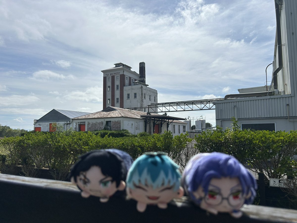 tragicwisdom27's tweet photo. Took them to my work place today, only had a meeting and some paper work then, did a tiny photoshoot lol~ https://t.co/PfzcTFcQ03
