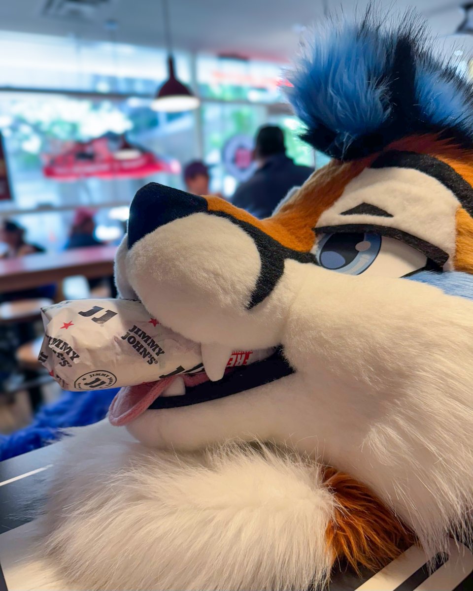 Ari 🦊 🔜 FWA (@FoxNamedAri) / Posts / X