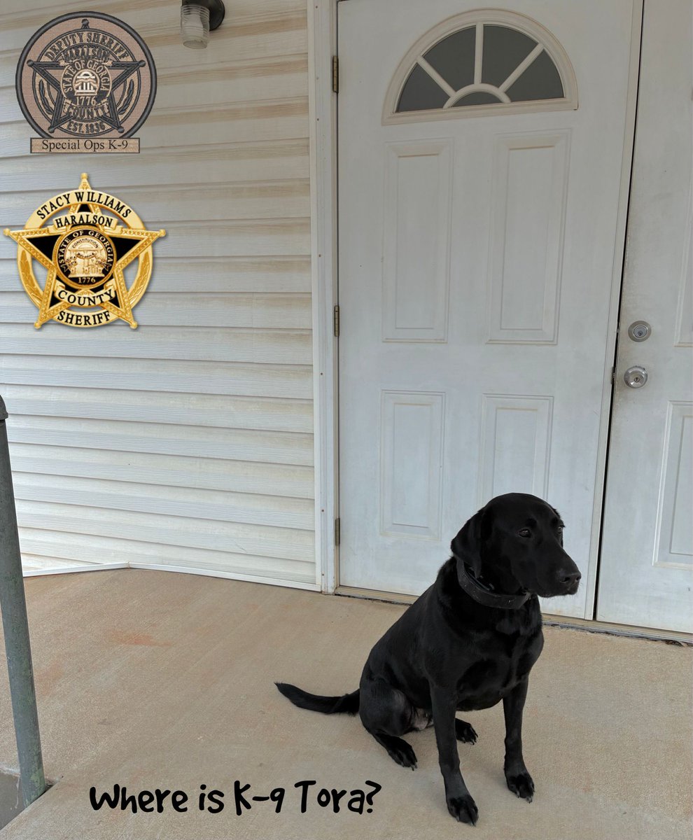 HaralsonSheriff's tweet image. It’s been a few weeks since we got to play our favorite game, BUT it’s back and better than ever! Where-oh-where is K-9 Tora hiding out?? 

Place your guesses in the comments⬇️ Those who guess correctly will be entered into a drawing for a K-9 Tora trading card.

#K9Tora
#HCSO