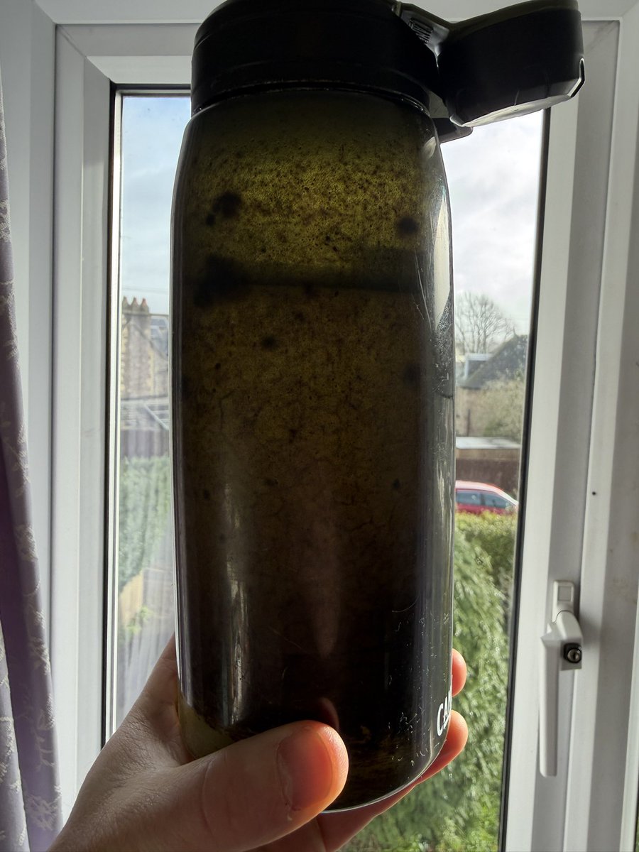 Greg Moss tweet media