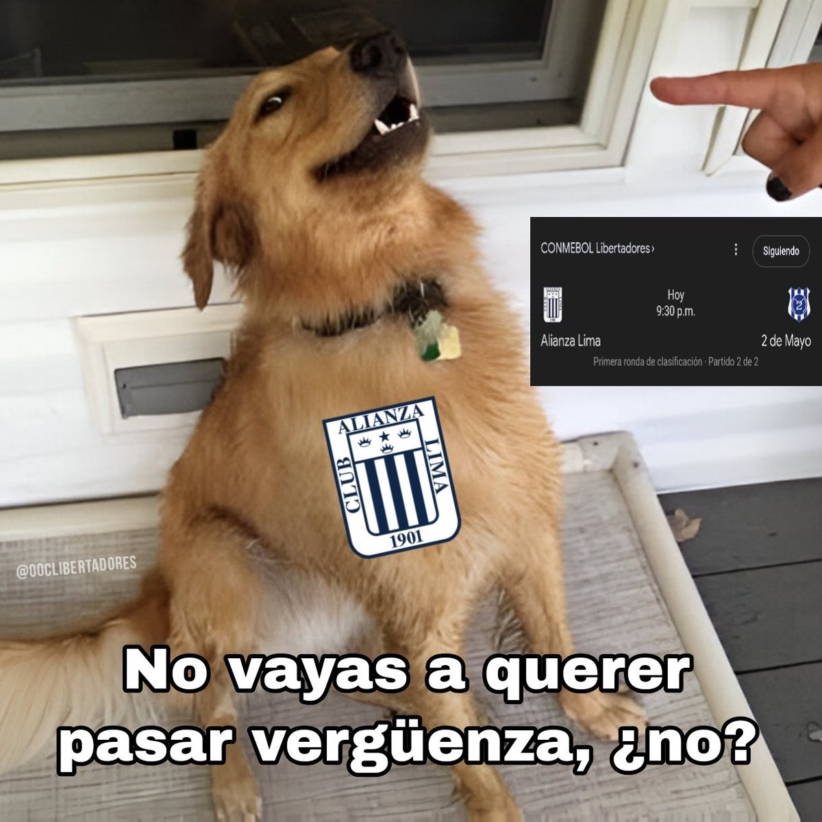 Out of Context Libertadores (@oc_libertadores) on Twitter photo 