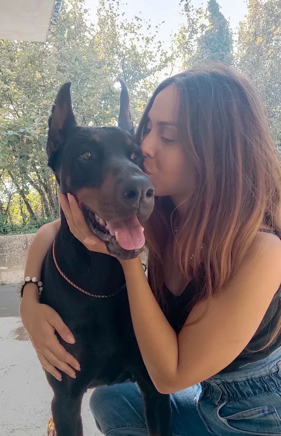 breed47231's tweet photo. Sometimes, words just can't capture the depth of love I have for my furry buddy. 🐶 So Pure, simple and the best kind of love there is. ❤️🐾
https://t.co/YOsHdg6lA1
https://t.co/gg9GPhto9w https://t.co/R56akEV5pA