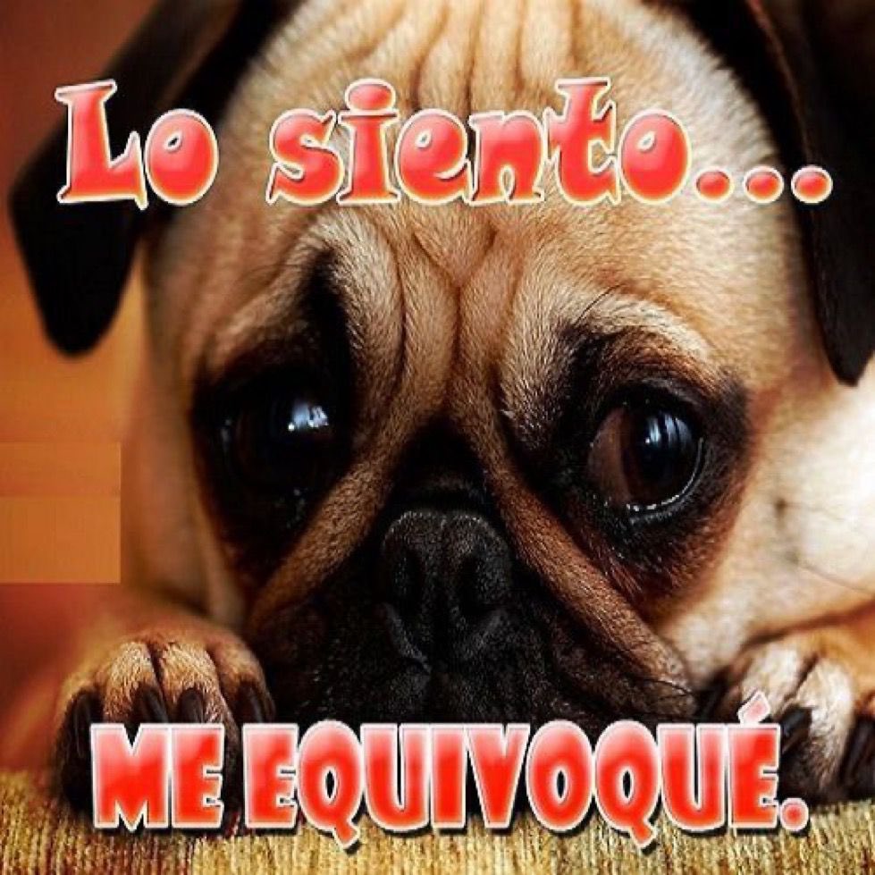 lukanhova's tweet image. lo amo..