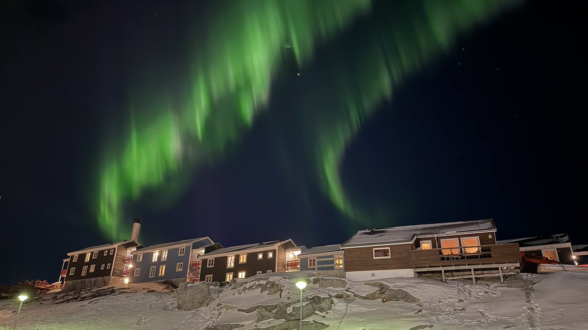 Orla Joelsen tweet media