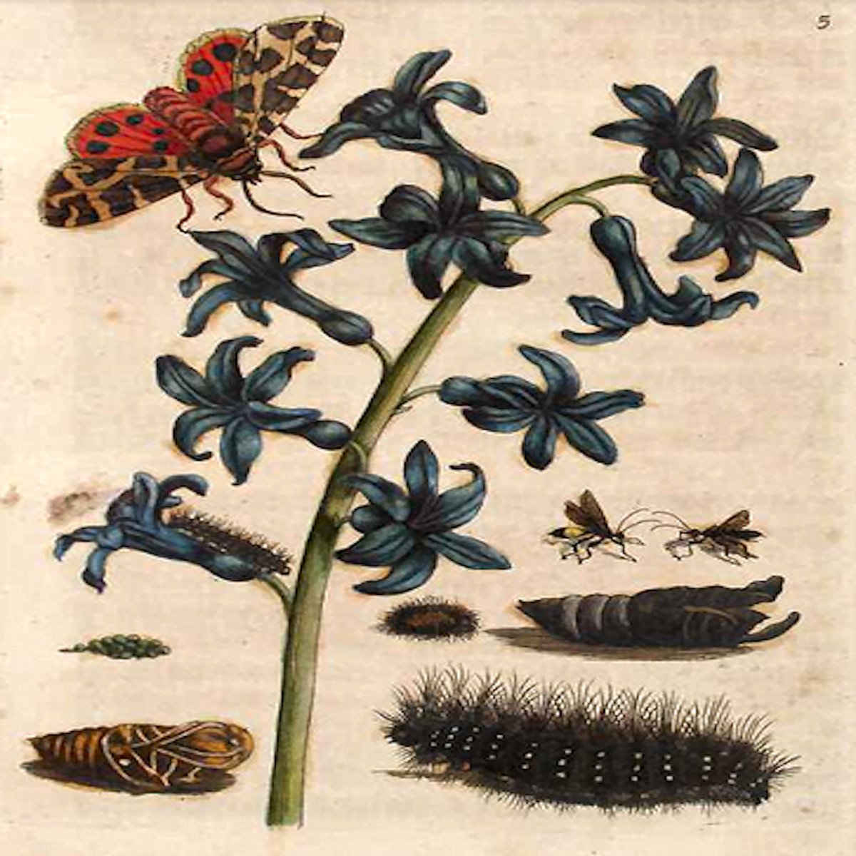 Sloane-Boekbinder tweet media