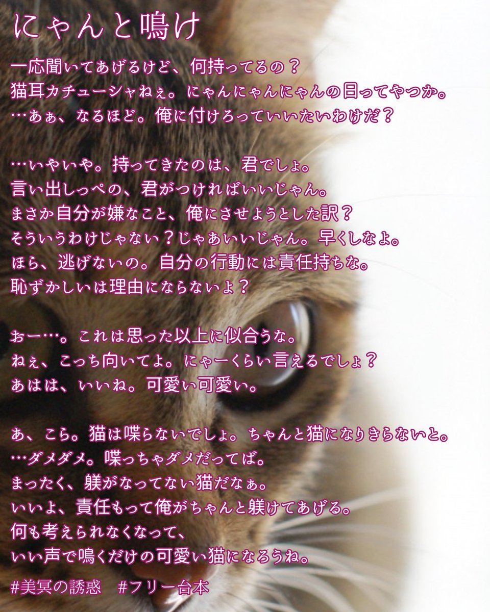 やりたい…にゃんにゃんにゃんの日に出すか