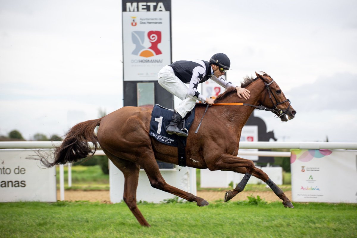 Yeguada Valmodomus tweet media