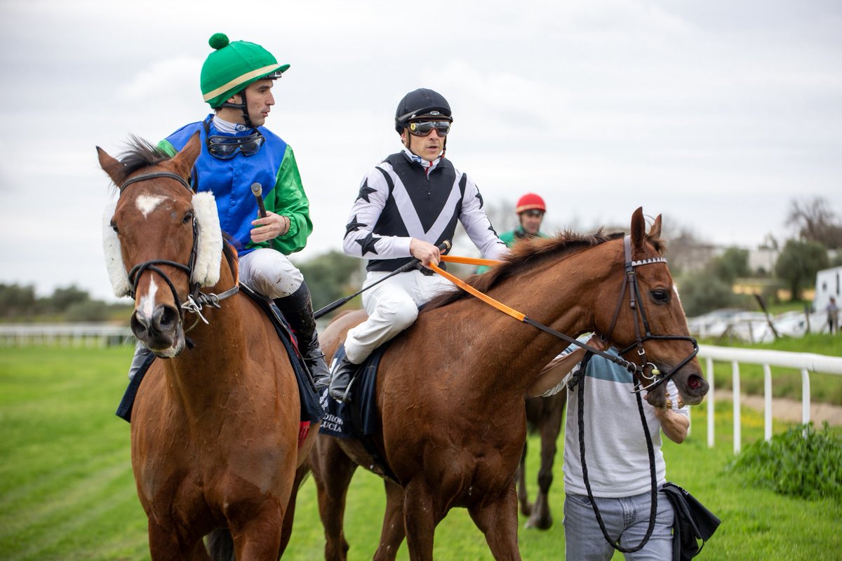 Yeguada Valmodomus tweet media