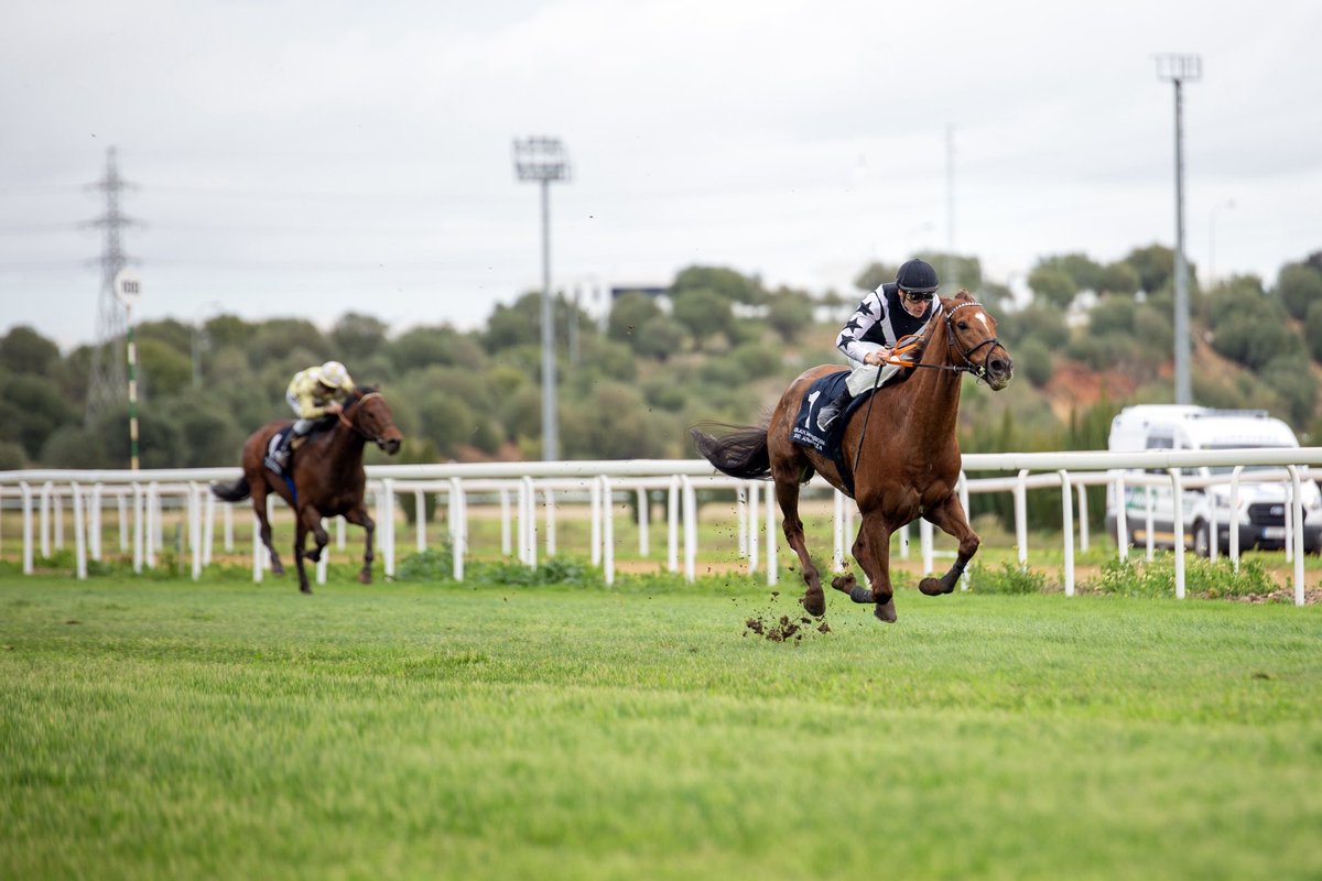 Yeguada Valmodomus tweet media