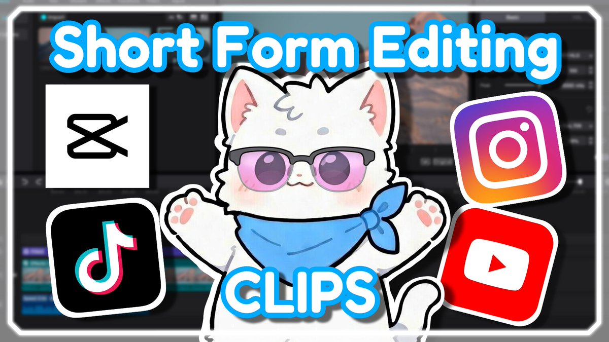 Valoix ⚪🐱 tweet media