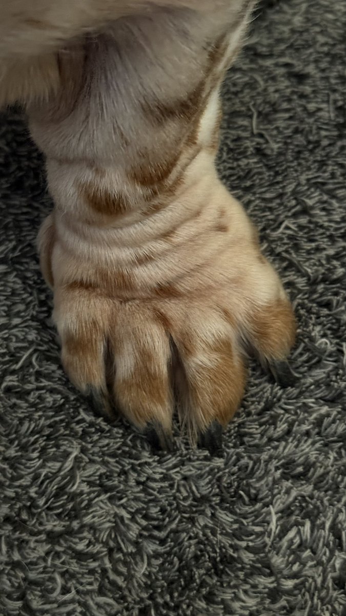 Phil Sledge tweet media