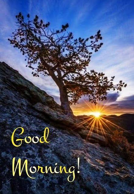 Good morning X family 🤗🌅🌄