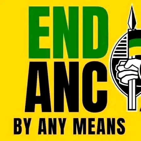 IG:Joy-Zelda tweet media