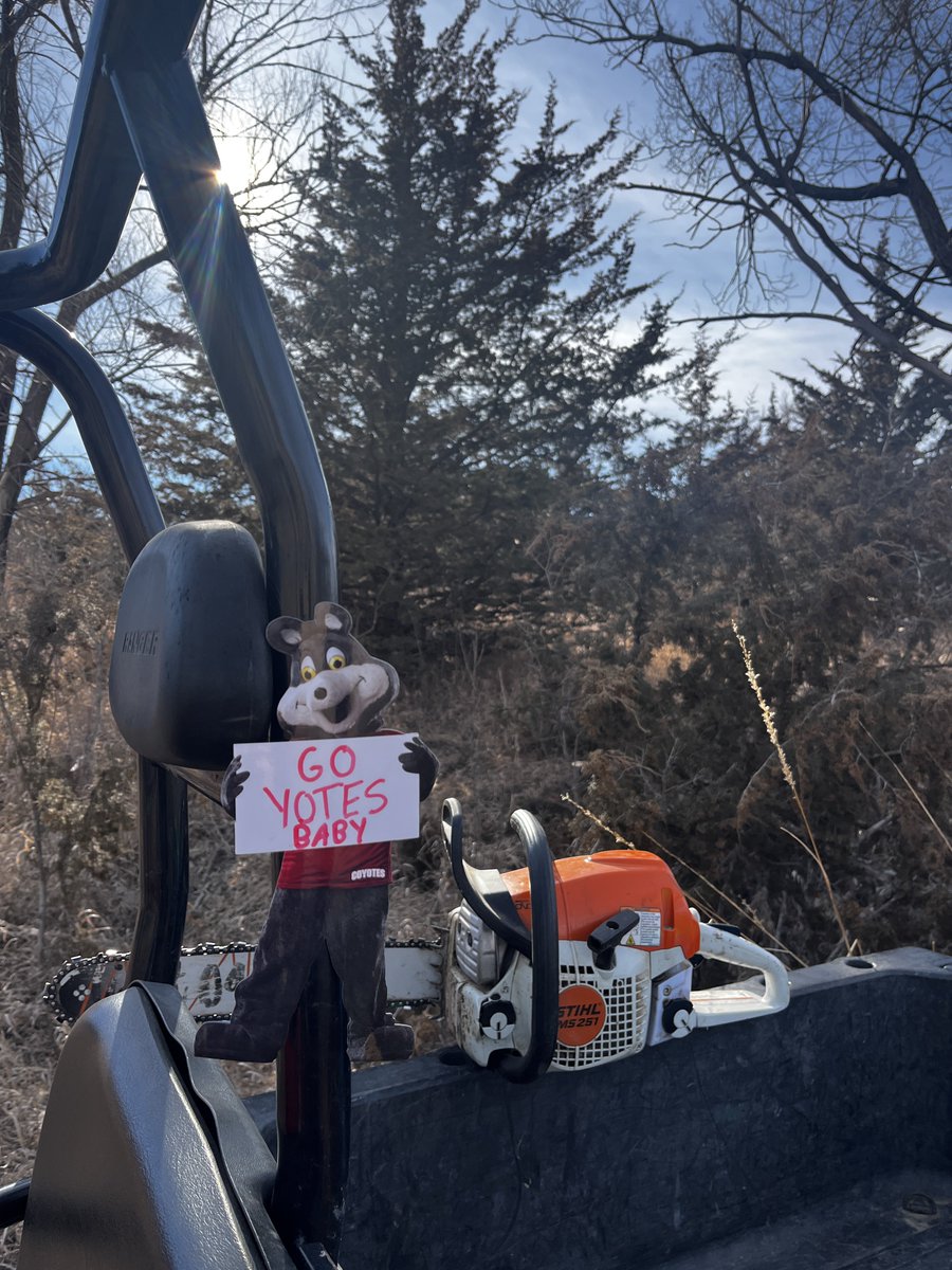 TheSongDog11's tweet photo. Weβre only a week away and #CharlieToGo is getting in a little workout over here in NW Iowa. Harvesting his favorite wood: Eastern RED Cedar from the Loess Hills Prairie. πΊπ΄πͺ΅π₯
@USDalumni
@SDCoyotes
#GoYotes
#GoYotesBaby
#UniteForUSD https://t.co/U3tRjv8i6Y