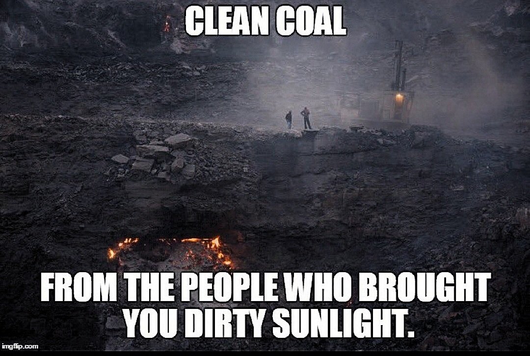 ⚘️Carina tweet media