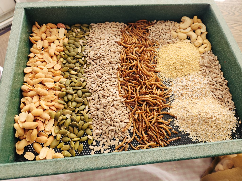 Lucah 🐴Horse Mom Vtuber tweet media